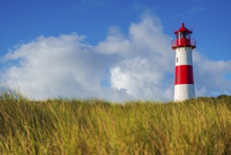 The Lister lighthouse at Ellenbogen, morning light, morning mood, dune, North Sea island, Sylt