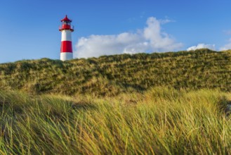 The Lister lighthouse at Ellenbogen, morning light, morning mood, dune, North Sea island, Sylt