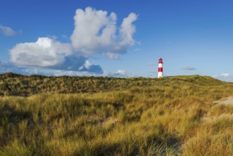 The Lister lighthouse at Ellenbogen, morning light, morning mood, dune, North Sea island, Sylt