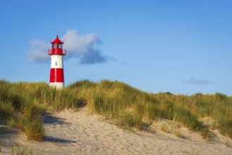 The Lister lighthouse at Ellenbogen, morning light, morning mood, dune, North Sea island, Sylt