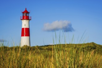 The Lister lighthouse at Ellenbogen, morning light, morning mood, dune, North Sea island, Sylt