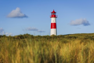 The Lister lighthouse at Ellenbogen, morning light, morning mood, dune, North Sea island, Sylt
