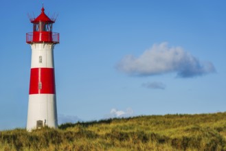 The Lister lighthouse at Ellenbogen, morning light, morning mood, dune, North Sea island, Sylt