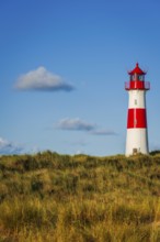 The Lister lighthouse at Ellenbogen, morning light, morning mood, dune, North Sea island, Sylt