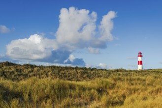 The Lister lighthouse at Ellenbogen, morning light, morning mood, dune, North Sea island, Sylt
