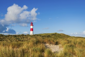 The Lister lighthouse at Ellenbogen, morning light, morning mood, dune, North Sea island, Sylt