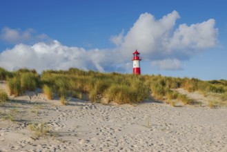 The Lister lighthouse at Ellenbogen, morning light, morning mood, dune, North Sea island, Sylt