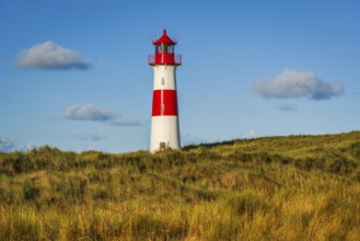 The Lister lighthouse at Ellenbogen, morning light, morning mood, dune, North Sea island, Sylt