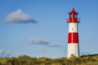 The Lister lighthouse at Ellenbogen, morning light, morning mood, dune, North Sea island, Sylt