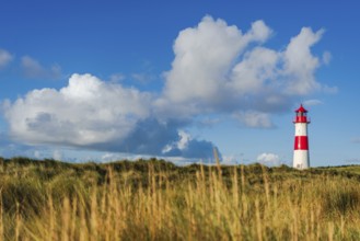 The Lister lighthouse at Ellenbogen, morning light, morning mood, dune, North Sea island, Sylt