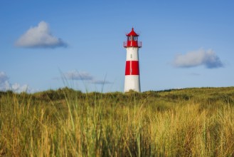 The Lister lighthouse at Ellenbogen, morning light, morning mood, dune, North Sea island, Sylt