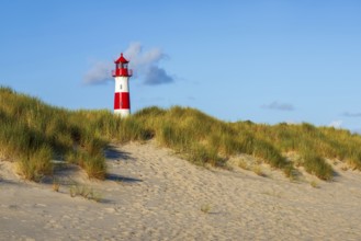 The Lister lighthouse at Ellenbogen, morning light, morning mood, dune, North Sea island, Sylt