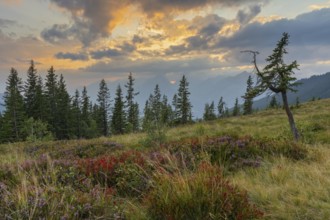 Mountain landscape in autumn at sunset, with the Inn valley and the Karwendel mountains behind,