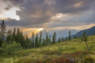 Mountain landscape in autumn at sunset, with the Inn valley and the Karwendel mountains behind,
