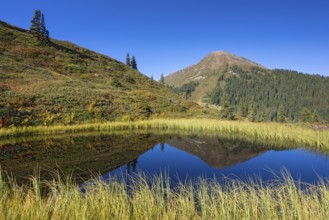 Moor pond at the Kleiner Gamsstein, behind it the Kuhmesser, Kleiner Gamsstein, Tuxer Voralpen,