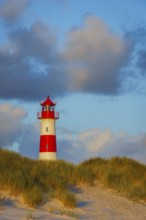 The Lister lighthouse at Ellenbogen, morning light, morning mood, dune, North Sea island, Sylt