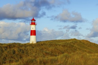 The Lister lighthouse at Ellenbogen, morning light, morning mood, dune, North Sea island, Sylt