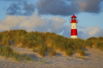 The Lister lighthouse at Ellenbogen, morning light, morning mood, dune, North Sea island, Sylt