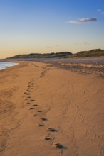 Tracks in the sand, beach, morning light, beach walk, North Sea, Sylt