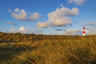 The Lister lighthouse at Ellenbogen, morning light, morning mood, dune, North Sea island, Sylt