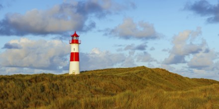 The Lister lighthouse at Ellenbogen, morning light, morning mood, dune, North Sea island, Sylt
