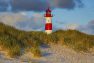 The Lister lighthouse at Ellenbogen, morning light, morning mood, dune, North Sea island, Sylt