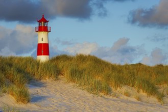 The Lister lighthouse at Ellenbogen, morning light, morning mood, dune, North Sea island, Sylt