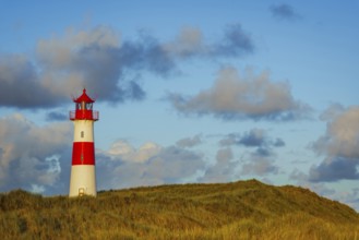 The Lister lighthouse at Ellenbogen, morning light, morning mood, dune, North Sea island, Sylt