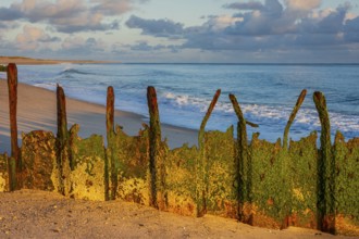 Sunrise on Ellenbogen beach, breakwater, coastal protection, North Sea island of Sylt