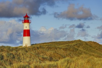 The Lister lighthouse at Ellenbogen, morning light, morning mood, dune, North Sea island, Sylt