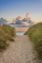 Path through the dunes in the morning light, wanderlust, holiday, North Sea, Sylt