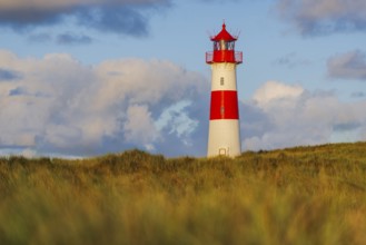 The Lister lighthouse at Ellenbogen, morning light, morning mood, dune, North Sea island, Sylt
