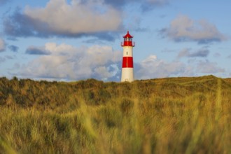 The Lister lighthouse at Ellenbogen, morning light, morning mood, dune, North Sea island, Sylt