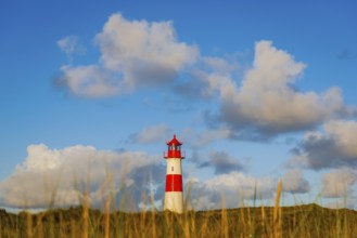 The Lister lighthouse at Ellenbogen, morning light, morning mood, dune, North Sea island, Sylt