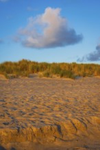 Sandy beach beach with dune and cloud in the morning light, Ellenbogen, Sylt