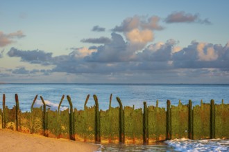 Sunrise on Ellenbogen beach, breakwater, coastal protection, North Sea island of Sylt
