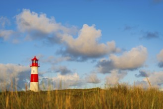 The Lister lighthouse at Ellenbogen, morning light, morning mood, dune, North Sea island, Sylt