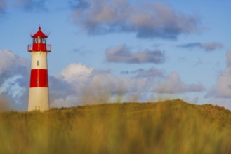 The Lister lighthouse at Ellenbogen, morning light, morning mood, dune, North Sea island, Sylt