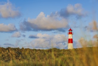 The Lister lighthouse at Ellenbogen, morning light, morning mood, dune, North Sea island, Sylt