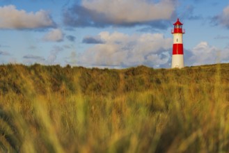 The Lister lighthouse at Ellenbogen, morning light, morning mood, dune, North Sea island, Sylt