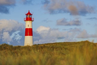 The Lister lighthouse at Ellenbogen, morning light, morning mood, dune, North Sea island, Sylt