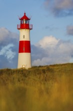 The Lister lighthouse at Ellenbogen, morning light, morning mood, dune, North Sea island, Sylt