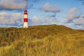 The Lister lighthouse at Ellenbogen, morning light, morning mood, dune, North Sea island, Sylt
