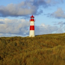 The Lister lighthouse at Ellenbogen, morning light, morning mood, dune, North Sea island, Sylt