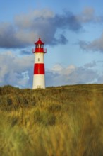 The Lister lighthouse at Ellenbogen, morning light, morning mood, dune, North Sea island, Sylt