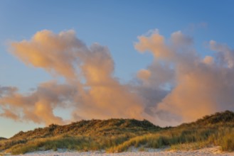 Sunrise on Ellenbogen beach, morning light, dunes, North Sea island of Sylt