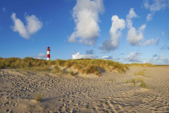 The Lister lighthouse at Ellenbogen, morning light, morning mood, dune, North Sea island, Sylt