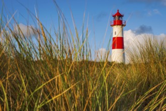 The Lister lighthouse at Ellenbogen, morning light, morning mood, dune, North Sea island, Sylt