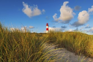 The Lister lighthouse at Ellenbogen, morning light, morning mood, dune, North Sea island, Sylt