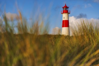 The Lister lighthouse at Ellenbogen, morning light, morning mood, dune, North Sea island, Sylt